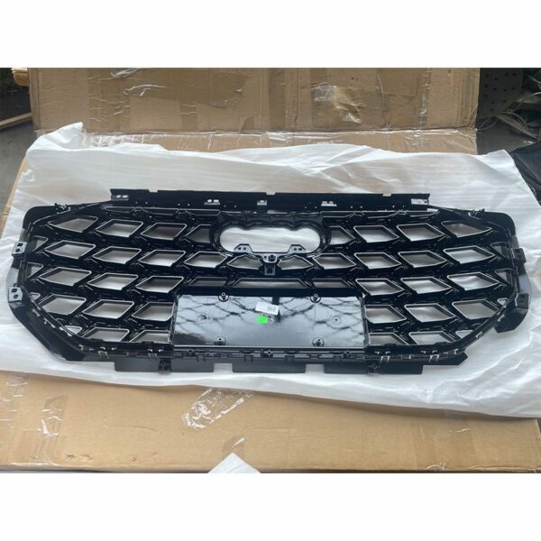 4CG 853 651B IXG, 4CG 853 651C IXG, 4CG 853 651A IXF Grille - Suitable for Audi Q6